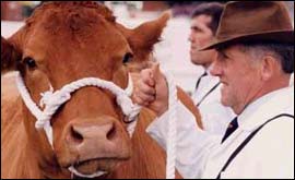 An exhibitor at The Royal Show