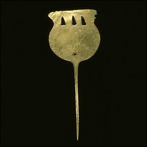 Gümüş şal iğnesi