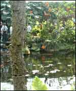View of Stratford Butterfly Farm