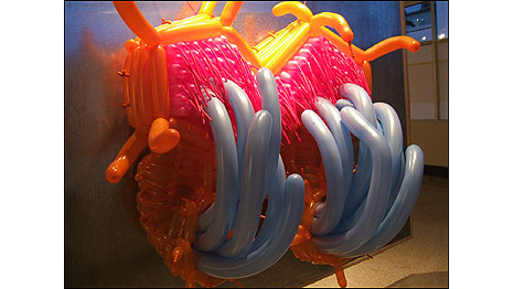 (Foto: Jason Hackenwerth)