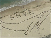 Baleia humana na Austrália