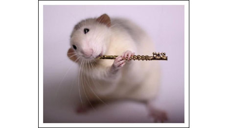 Foto: Ellen van Deelen