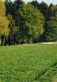 Sheffield Park - the battleground site today