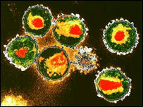 एचआईवी वायरस