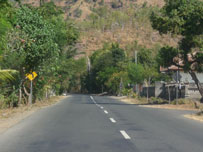 On the road to Lovina