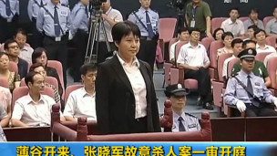 Bà Cốc Khai Lai trong phiên tòa hôm 9/8