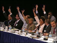 Biểu quyết tại uỷ ban nội quy và điều lệ đảng Dân chủ