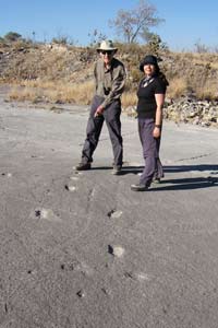 Silvia Gonzalez and Aubrey Manning examine possible tracks of the first Americans