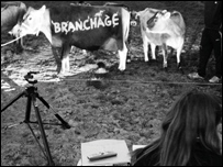 Making the Branchage logo