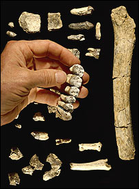 Ossos encontrados na Etiópia