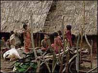 जनजातियाँ