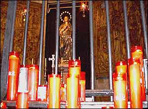 عکس از شعله موسوی