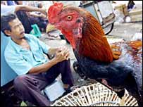 پرنده فروشی در شرق آسيا