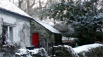 Cottage and trees in snow