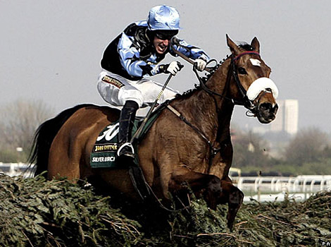 Race horse jumps a fence