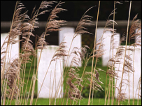 Bedford House cemetery in Belgium
