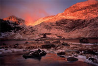 Grif goch - un o luniau Ar Orwel Eryri 