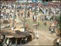 पाषाण युद्ध