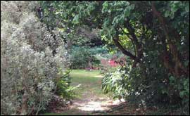 The Dappled Garden in Harpenden.