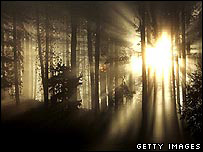 घने जंगल