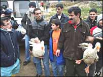 آنفلوآنزای مرغی در ترکيه