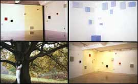 The work of Yuko Shiraishi  