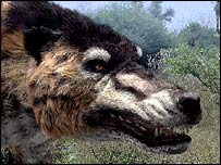 اندروسارکوس، بی بی سی