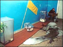 Урна з бюлетенями, підпалена в Західній Україні