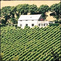 英国酒文化复兴