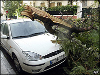 Estragos causados pela tempestade Dela na ilha de Tenerife
