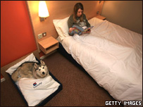 参赛名犬和主人特殊房间