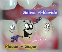 دندان ها با کودکان حرف می زنند.
