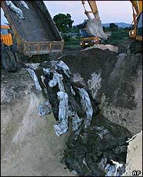 Vala comum em Gonaives