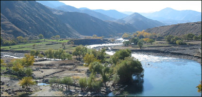 يکی از محلات عام المنفعه