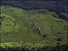 Road through the Amazon