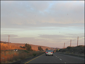 شيوا اميرحسينی