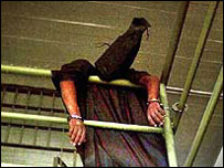 Ebu Gureyb Cezaevi'nde kollarından asılmış bir tutsak