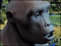 Cientistas simularam a aparência de Tumai