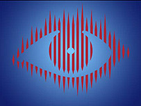 真人秀“老大哥”