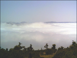 عکس از سید وحید حسینی