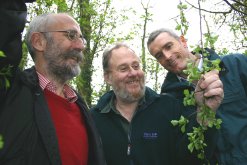 Roy Vickery, Lionel Kelleway and Nick Collinson looking at Midland Hawthorn (Crataegus laevigata).