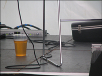 The orange tree stage