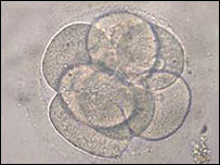 Nhân bản vô tính phôi thai hoàn chỉnh nhất 