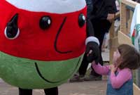 Mr Urdd
