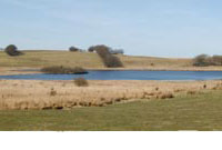 Llyn Eiddwen ar y Mynydd Bach