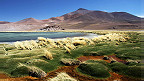 Laguna Santa Rosa, Atacama, Chile