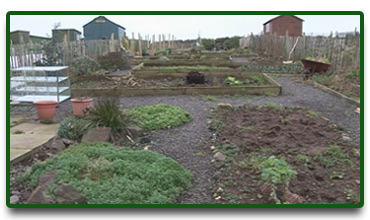 The Allotment - February 2007