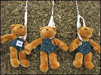Teddies line up for the big jump