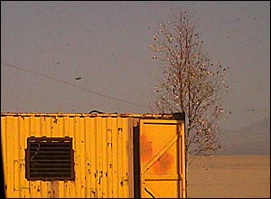 عکس از محمد جواد عليزاده