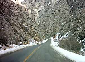 بهزاد مرادی